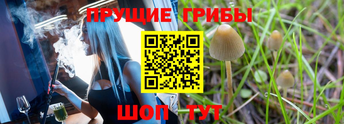 Галлюциногенные грибы GOLDEN TEACHER Нижневартовск
