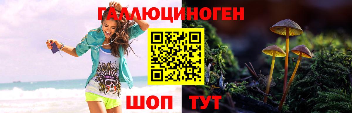 Псилоцибиновые грибы мухоморы  Псилоцибиновые грибы Psilocybe  Нижневартовск  наркотики  Вход с VPN 